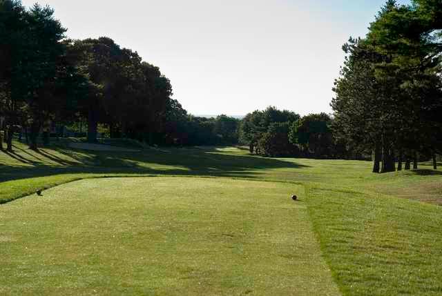 Midville Country Club - photo 3