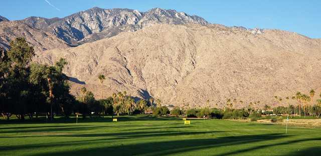 Mesquite - photo 2
