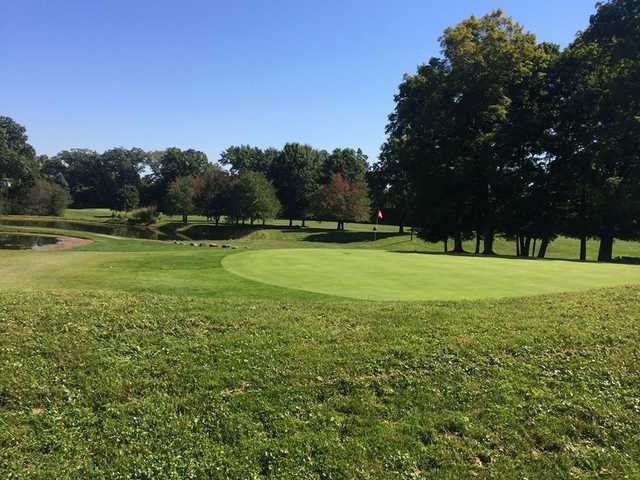 Tanglewood - photo 2