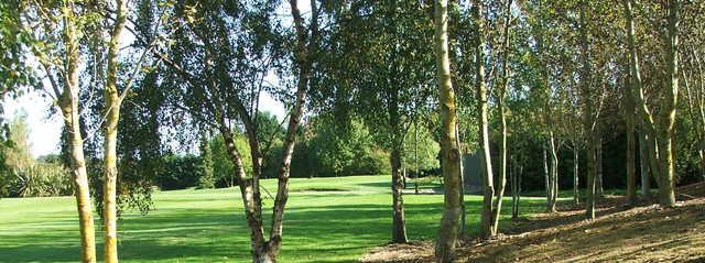 Julianstown Golf Club - photo 3