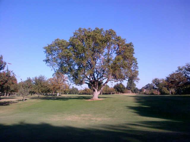 Dryden Park Golf Course - photo 3