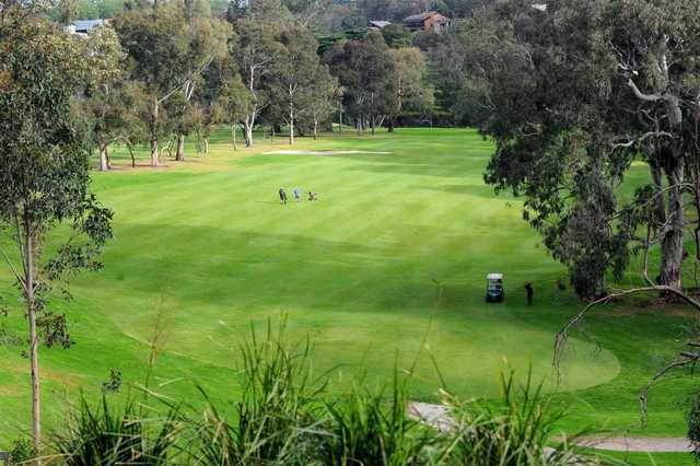 Yarra Bend Golf Club - photo 4