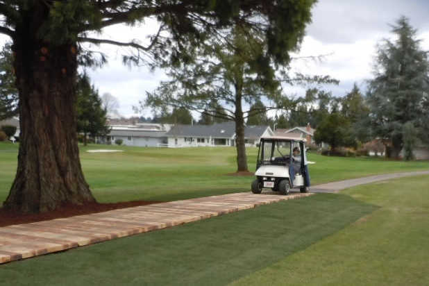 Salemtowne Golf Club - photo 2
