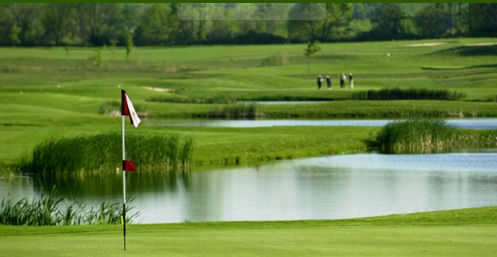 The Links at Echo Springs - photo 5