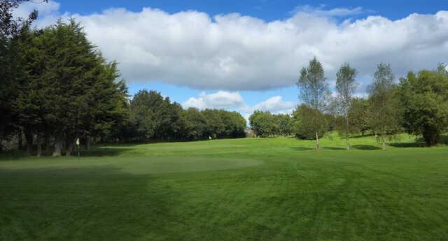 Ashfield Golf Club - photo 8