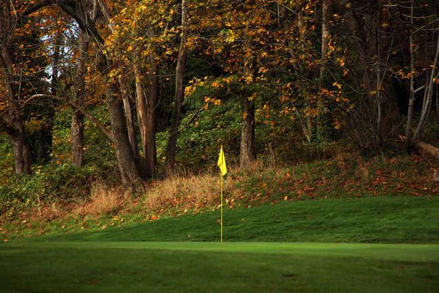 Rose City Golf Course - photo 4