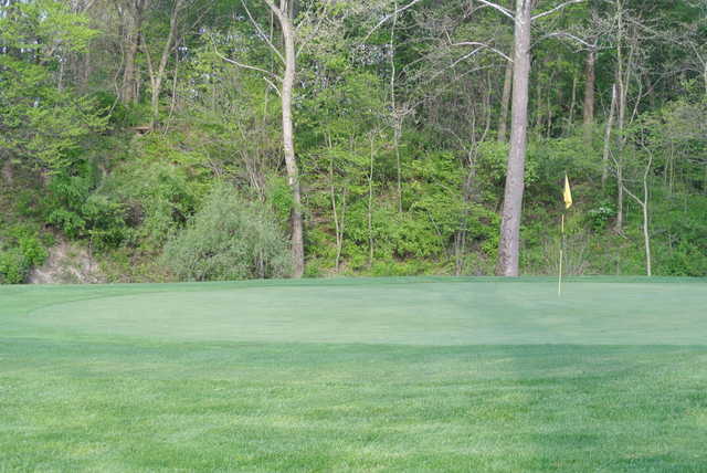 Deer Track Golf Club - photo 2