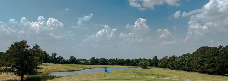 Oakview Links Golf Course - photo 4