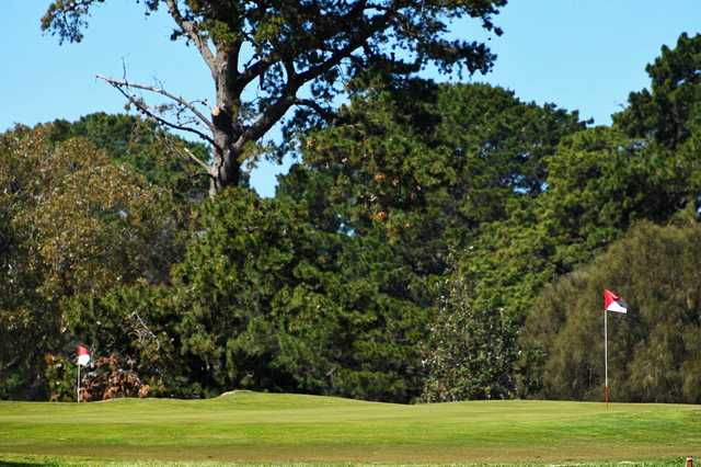 Portarlington Golf Club - photo 4