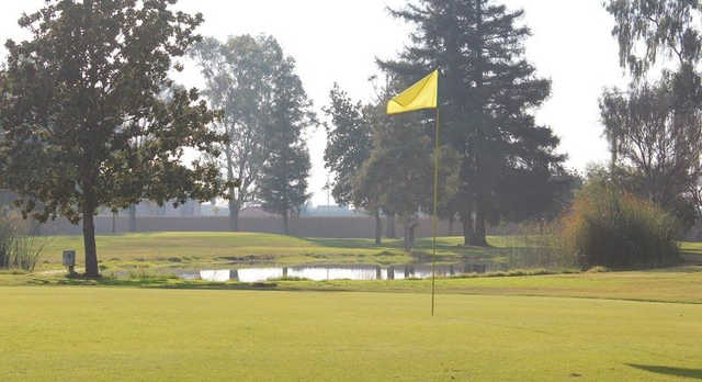 River Oaks - photo 2