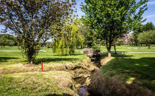 Shandon Park Golf Club - photo 3
