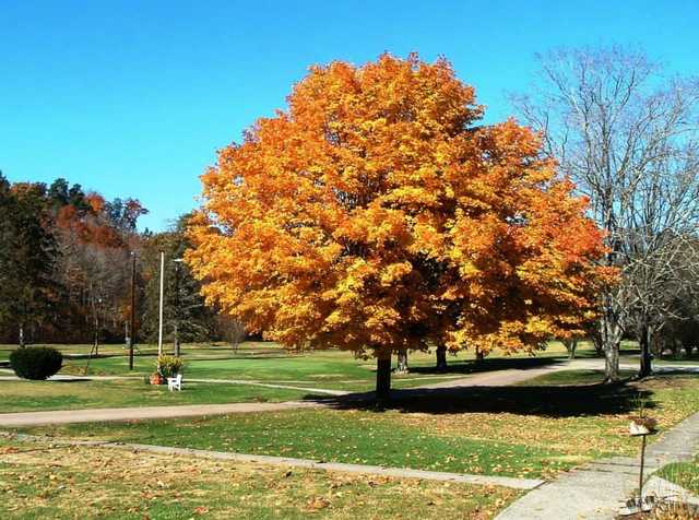 Ironton Country Club - photo 2