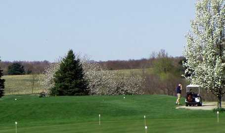 Marada Golf Course - photo 2