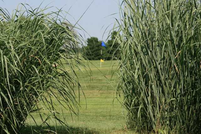 Prairie Winds of Pretty Prairie - photo 2