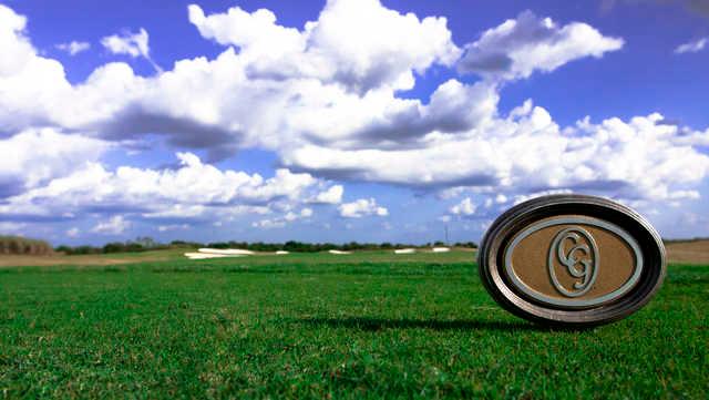 ChampionsGate Country Club - FL - photo 4
