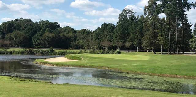 Birkdale Golf Club - photo 3