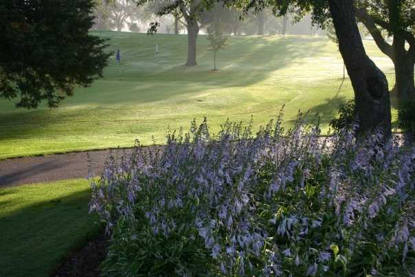 Park Hills Golf Course - photo 4