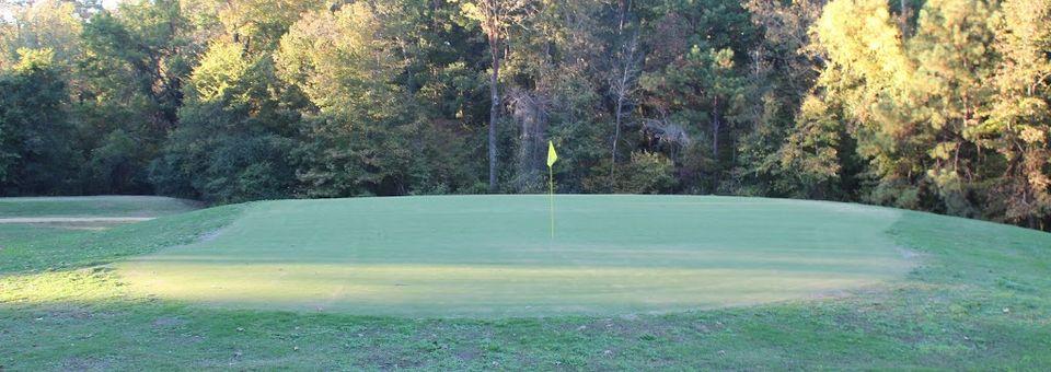 Longhills Golf Club - photo 5