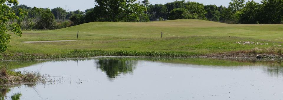 Rio Colorado Golf Course - photo 5