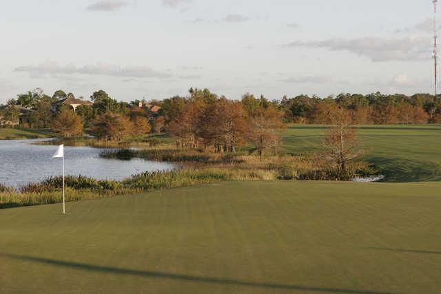 Sandhill Crane Golf Course - photo 3