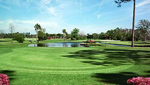 Palm Valley Golf Club - (Walking Executive) - photo 2