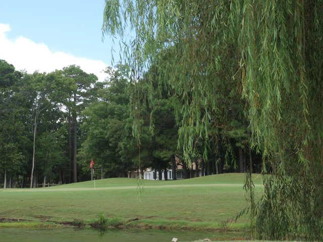 The Links at Brick Landing - photo 2