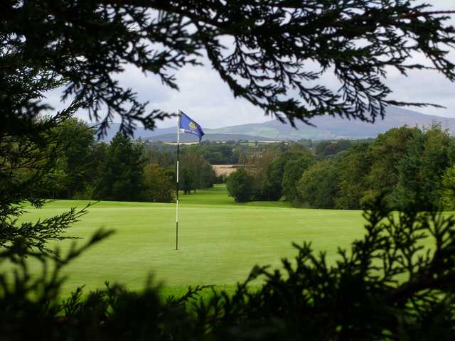 Enniscorthy Golf Club - photo 4