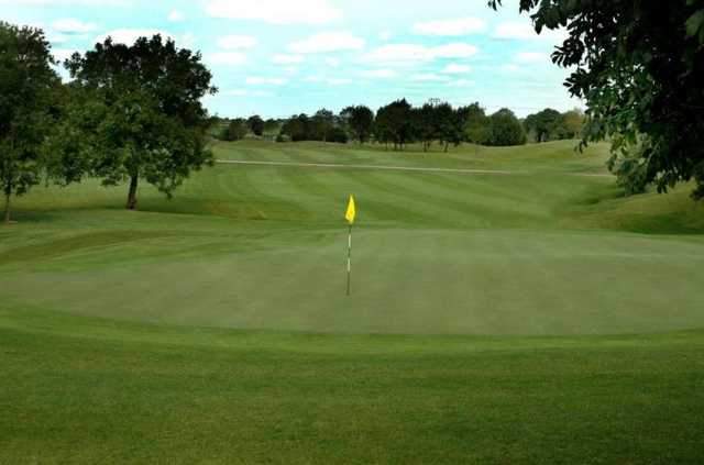 Roganstown - photo 5