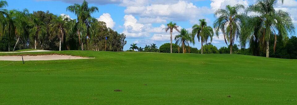 Bonaventure Golf Club - photo 5