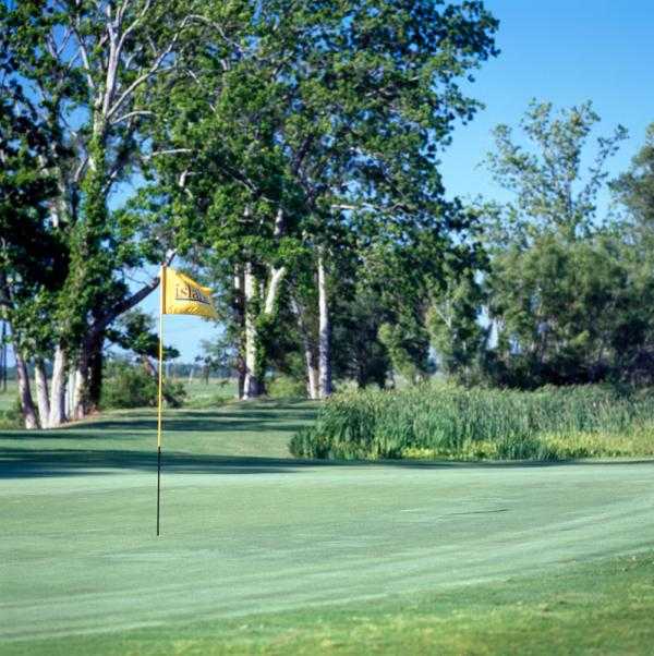 The Island Country Club - photo 3