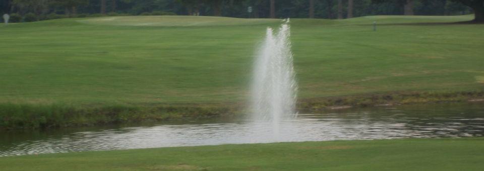 Sunkist Country Club - photo 5