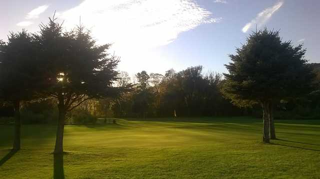 Meadows