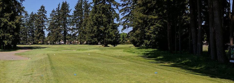 Lake Spanaway Golf Course - photo 7