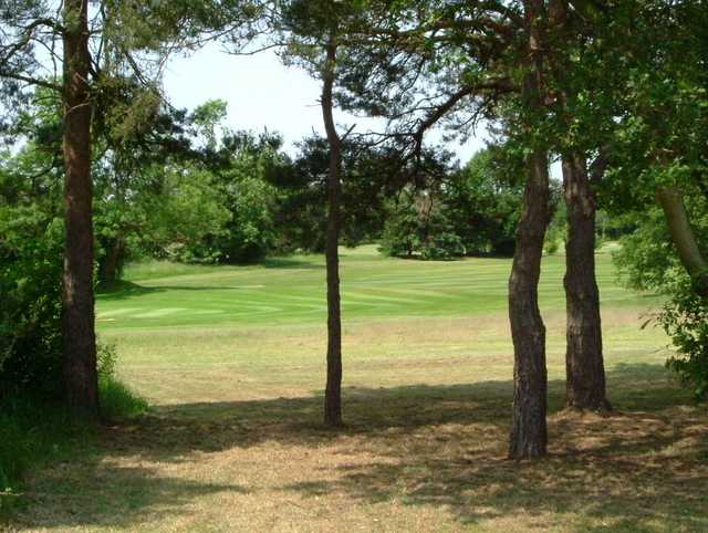 Maidenhead Golf Club - photo 4