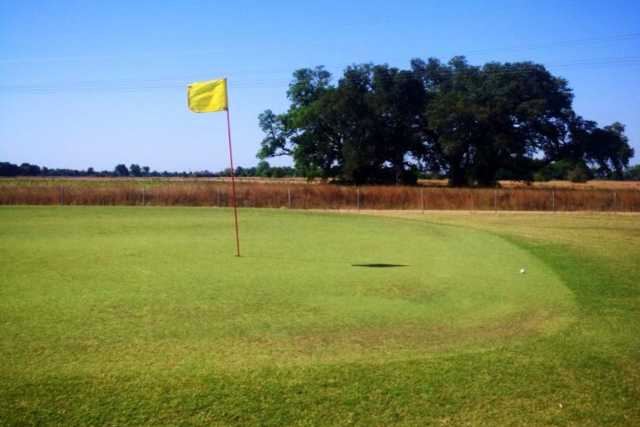 Cajun Pine Golf Club - photo 3