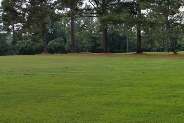 Vineland Golf Course - photo 5