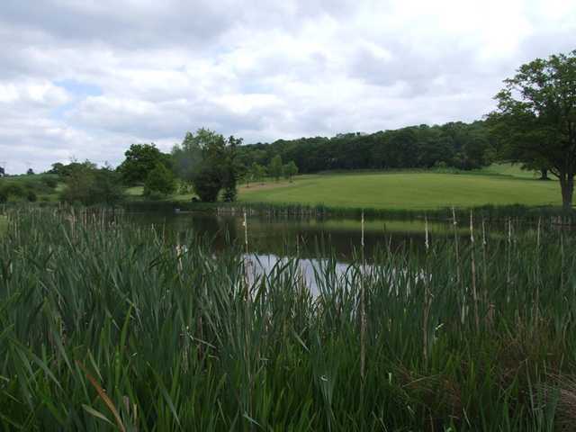 Raglan Parc Golf Club - photo 3