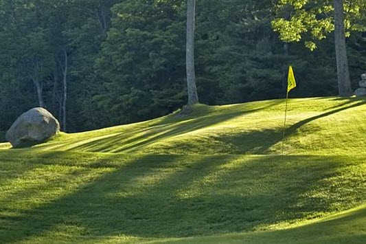 Meadowbrook Country Club - photo 2