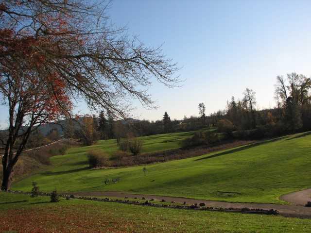 The Nines Golf Course - photo 3