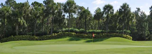 Cedar Hammock Golf & Country Club - photo 3