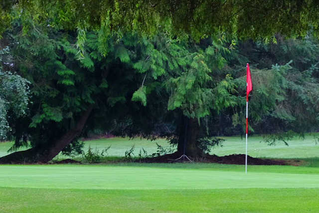 Sunshine Woods Golf Centre
