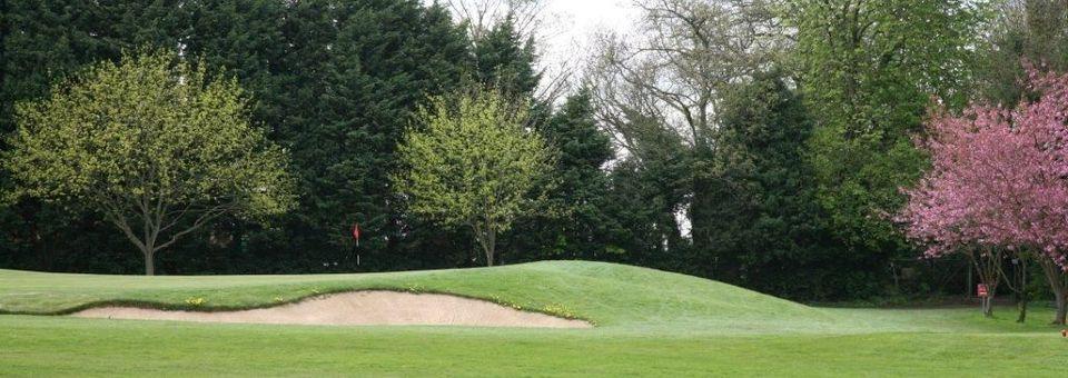 Shendish Manor Hotel and Golf Course - photo 5