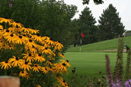 Birnamwood Public Golf Course - photo 2