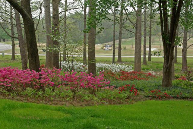 Hide-A-Way Lake Golf Course - photo 6
