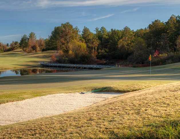 The Robert Trent Jones Golf Trail at Silver Lakes - photo 5