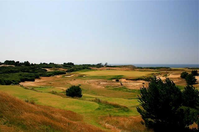 Bandon Dunes Golf Resort - Old Macdonald - photo 6