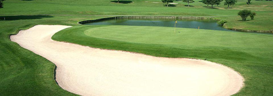 Quicksilver Golf Club - photo 5