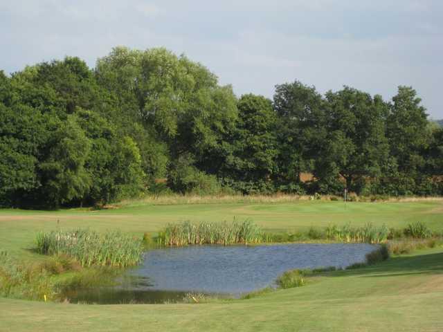 Brookfield Golf Club - photo 7