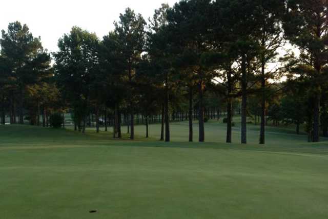 Twin Pines - photo 3