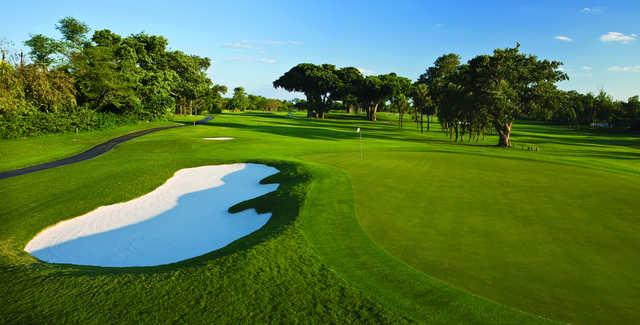 Biltmore Golf Course - photo 2